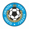 Dmuchane miasteczko piłkarskie - Śląski Związek Piłki Nożnej