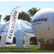 Flagi, namiot Pająk i Balon Alfa